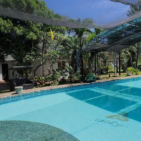 White Chocolate Hills Resort Zamboanguita  Eksteriør billede